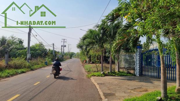 Bán gấp đất chính chủ góc 2 mặt tiền đường Hưng Nghĩa - Lộ 25, huyện Thống Nhất, 175.5m2 - 1