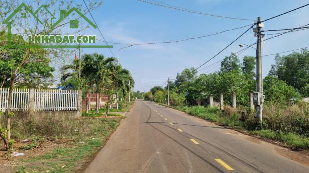 Bán gấp đất chính chủ góc 2 mặt tiền đường Hưng Nghĩa - Lộ 25, huyện Thống Nhất, 175.5m2 - 2