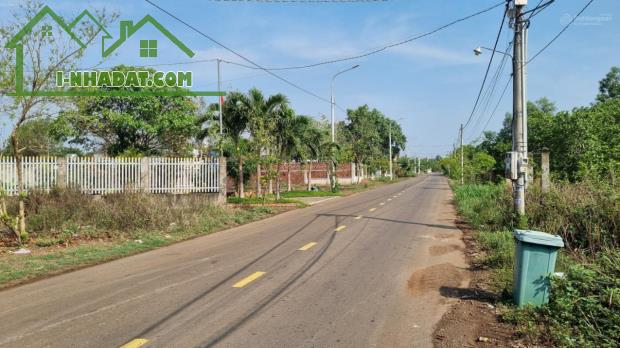 Bán gấp đất chính chủ góc 2 mặt tiền đường Hưng Nghĩa - Lộ 25, huyện Thống Nhất, 175.5m2 - 3