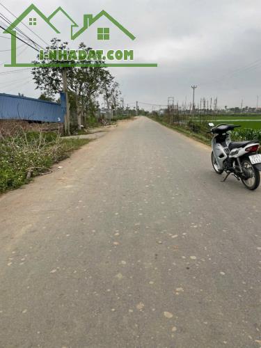 Bán đất Minh Tân - Kiến Thụy - Hải Phòng - 1