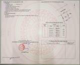 CHÍNH CHỦ CẦN BÁN GẤP LÔ ĐẤT 107M² TẠI TÂN PHÚ TRUNG, CỦ CHI – SHR – ĐƯỜNG NHỰA 8M – GIÁ T
