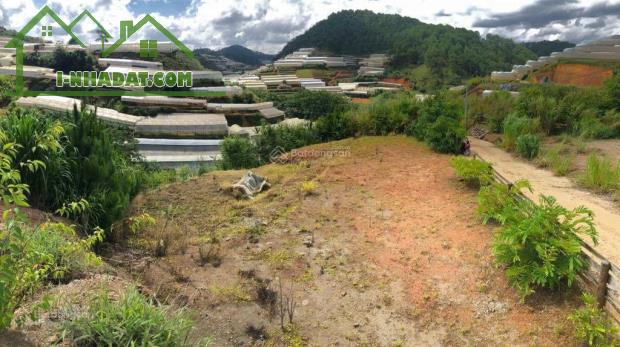 Chính chủ bán 3 lô đất đẹp tại Xuân Thọ, Đà Lạt view cao, khí hậu trong lành - 3