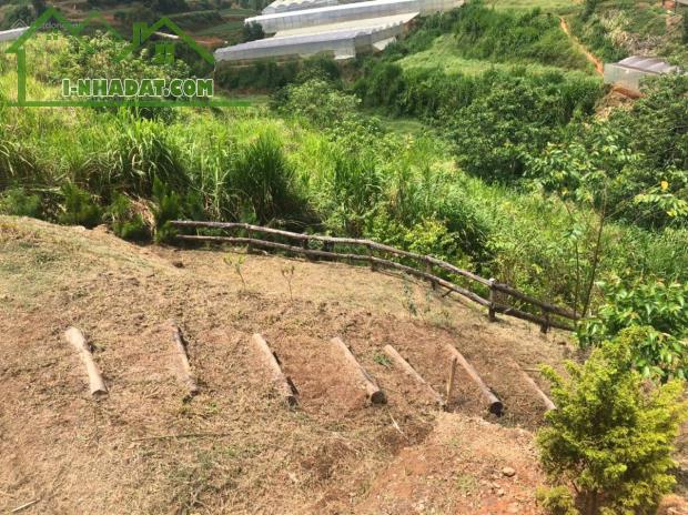 Chính chủ bán 3 lô đất đẹp tại Xuân Thọ, Đà Lạt view cao, khí hậu trong lành - 6