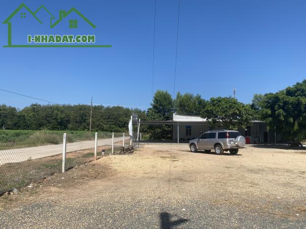 Cần bán gấp đất đường Nguyễn Minh Châu ngay thị trấn Tân Châu Tây Ninh - 2