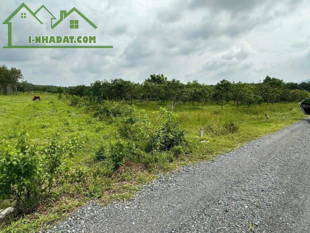 Bán lô đất Thành Phố Tây Ninh view núi Bà Đen - 1