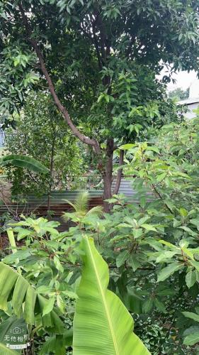 Bán nhà mặt phố tại DS3, Hiệp Bình Phước,Thủ Đức,giá siêu hời 54tr/m2,330m, 12m ngang - 2
