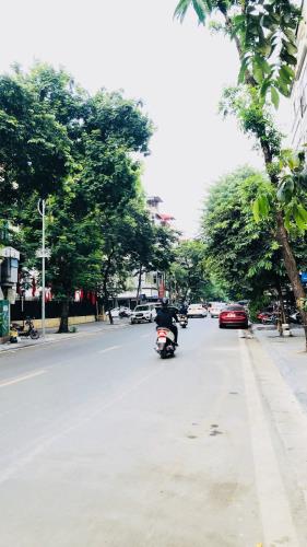 Thông Số Vàng Vị Trí Đắc Địa Mặt Phố Cổ Quận Hai Bà Trưng 175M2 MT 10M Sổ Vuông Giá 145 Tỷ
