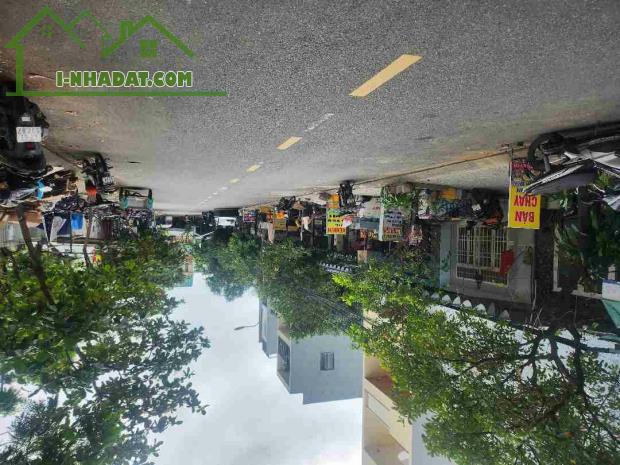 CHU CHOA MẠ ƠI . CHỈ CÒN 1 LÔ DUY NHẤT NGAY NAM VIỆT Á RẺ BẤT NGỜ - 1