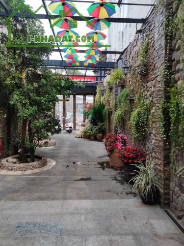 Cực rẻ Trường Chinh xây BUIDING, CCMN, chia lô tuyệt đẹp 300m nhỉnh 30 tỷ