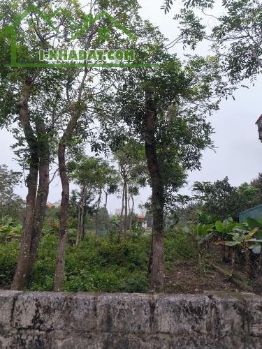 Đất mặt tiền KD đa ngành đường liên thôn xã Chuyên Mỹ, mt 6m giá chỉ 19.5tr - 3