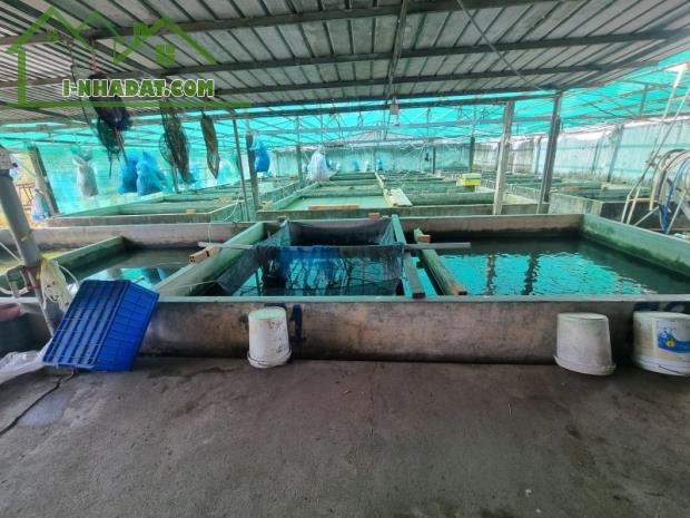 Lô 4.138m2 thổ, mặt tiền, chỉ 11tr/m2. đền bù 65 tỷ bán 48 tỷ chia TS,Long Thạnh Mỹ,Q9 - 1