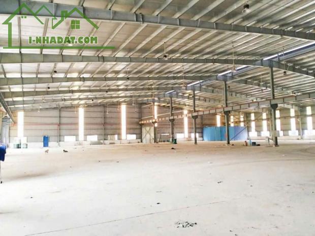 Cho Thuê Xưởng KCN Bình Dương – Diện Tích 10.000m², Giá Tốt. Liên hệ ngay để xem xưởng - 3
