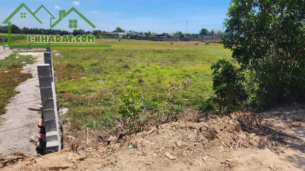 🔥 6x30 FULL THỔ–GẦN BIỂN, LAGI, BÌNH THUẬN–MẶT TIỀN ĐƯỜNG LỚN–GIÁ 900 TRIỆU TỐT NHẤT KHU - 1