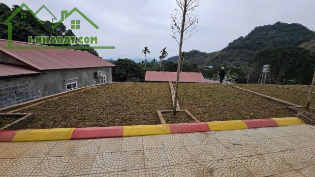 🔥 CƠ HỘI ĐẦU TƯ VÀNG – ĐẤT NỀN KỲ SƠN, HÒA BÌNH – GIÁ CHỈ 760 TRIỆU! 🔥 - 3