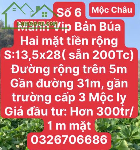 CHỜ LỒNG GẦN KHU DU LỊCH MỘC CHÂU - 2