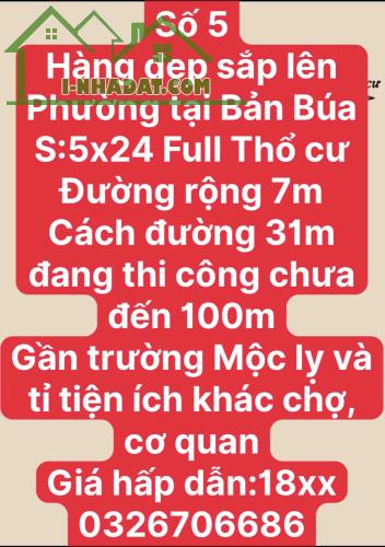 CHỜ LỒNG GẦN KHU DU LỊCH MỘC CHÂU - 1