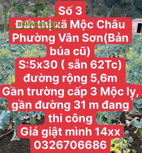 CHỜ LỒNG GẦN KHU DU LỊCH MỘC CHÂU