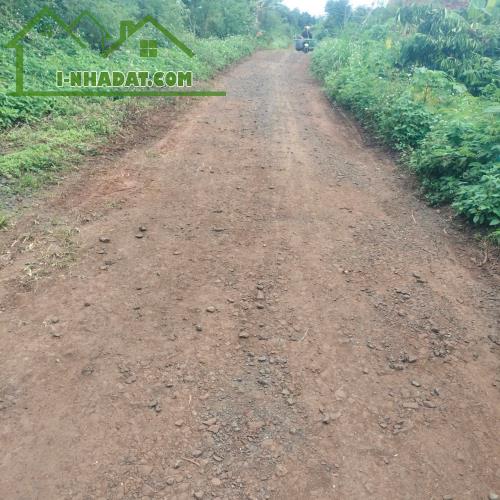 Bình Thuận-Buôn Hồ lô đất 3200m2 full tiêu và cà phê cho thu hoạch mạnh mặt tiền miên man