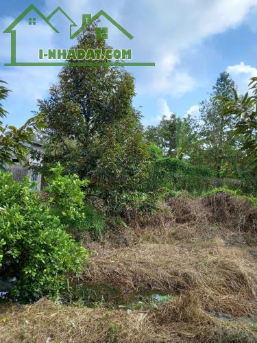Chính Chủ Bán Đất CLN Diện Tích 902.7m2 Tại Xã Tam Bình, Huyện Cai Lậy