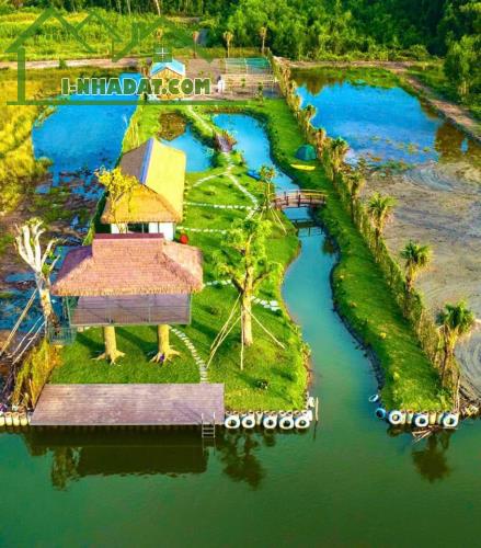 BÁN ĐẤT VƯỜN GIÁ RẺ 600TR/1000M2, ĐƯỜNG XE HƠI 1,2 TỶ /1000M2, SHR, CHÍNH CHỦ - 2