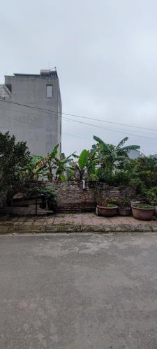 Bán Đất Đấu Giá Cự Khối, Long Biên, Vỉa hè, Ô tô tránh, Kinh Doanh, 220m2 x 15m, 24.6 tỷ