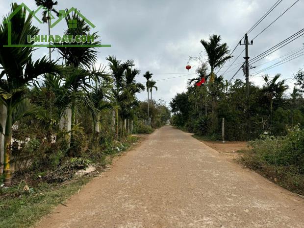 Bán 268m² Đất Hẻm C1 EaKmat, Hòa Đông – Vị Trí Vàng Gần Sân Bay, Cao Tốc & Quốc Lộ 26 - 1