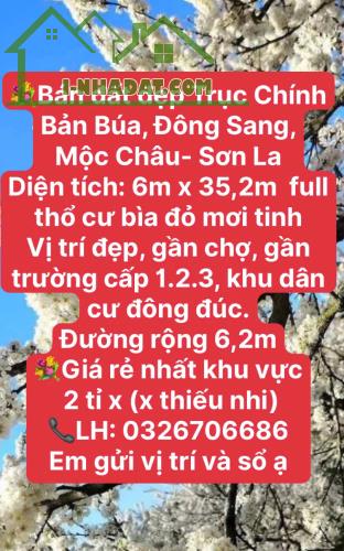 ĐẤT VÀNG MỘC CHÂU - 3