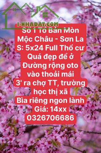 ĐẤT VÀNG MỘC CHÂU - 4