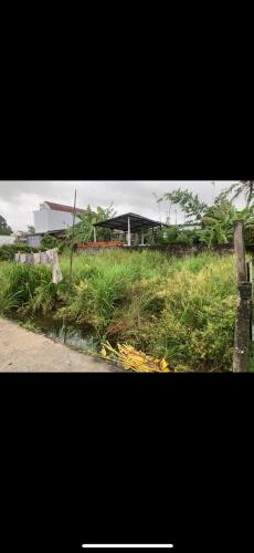 Chính Chủ Cần Bán Gấp Đất Tại Hẻm 89 Nguyễn Thông, P. An Thới, Ninh Kiều, Cần Thơ - 1