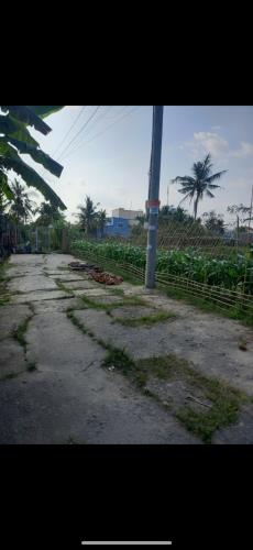 Chính Chủ Cần Bán Gấp Đất Tại Hẻm 89 Nguyễn Thông, P. An Thới, Ninh Kiều, Cần Thơ - 2