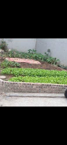 HOT! Bán Đất mặt phố Ô Cách, ô tô tránh, kinh doanh, 66m, MT 4.2m, nhỉnh 13 tỷ - 1