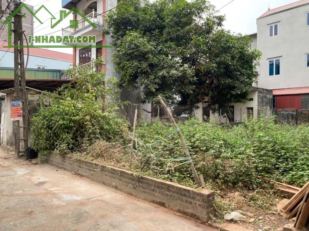 Bán Đất 123m² Tại Lỗ Khê, Liên Hà – View Hồ Thoáng Mát, Đường Ô Tô Thông - Giá Siêu rẻ - 2