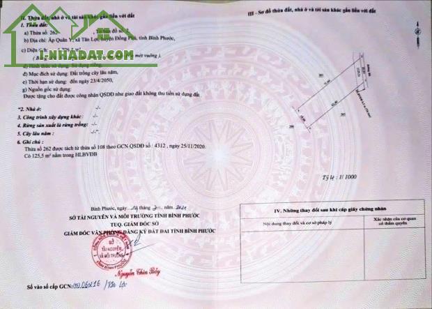 20x62 đường 9m xe ô tô thoải mái giá 350 triệu Tân lợi gần tuyến 4