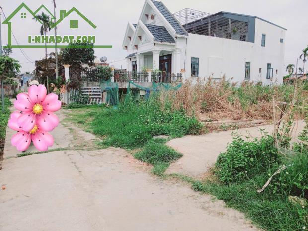 Bán đất Minh Tân - Kiến Thụy - Hải phòng - 1