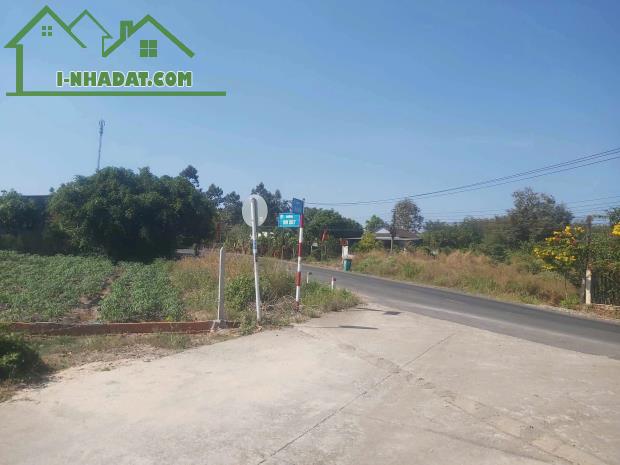 BÁN ĐẤT VƯỜN TRÁI CÂY TẠI BÌNH PHƯỚC, GIÁ TỐT CHỈ HƠN HƠN 300TR LÔ - 1