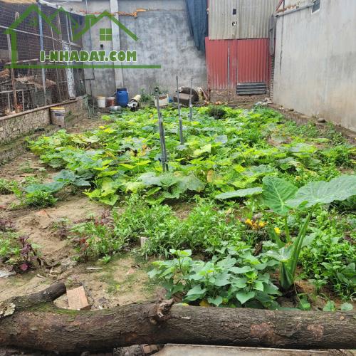 Chủ nhà cần bán gấp 70m Thôn Cổ Điển, Hải Bối , Đông anh chỉ hơn 5 tỉ - 2
