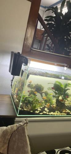 Bán Nhà TĐC Giang Biên, Phạm Khắc Quảng, vỉa hè ô tô tránh 43m x 4T, MT 3.8m, nhỉnh 11 tỷ - 1