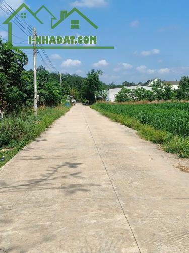 1000m2 có sẵn 100m2 thổ cư  nằm trong khu dân cư đồng phú bình phước giá 400 triệu