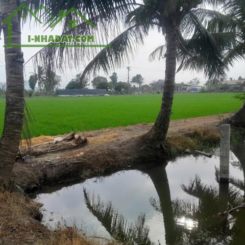 Cần  bán đất 8000 m2 đất vườn và đất 03  tại Phường Duy Tân, đường trục chính 8m.