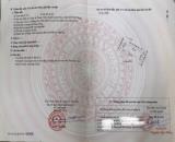 Bán đất Thuận Thiên - Kiến Thụy - Hải Phòng