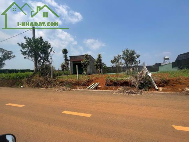 LÔ ĐẤT VỊ TRÍ ĐẸP -ĐẦU TƯ SINH LỜI - Cần Bán Nhanh Lô Đất Xã Đambri, TP Bảo Lộc, Lâm Đồng