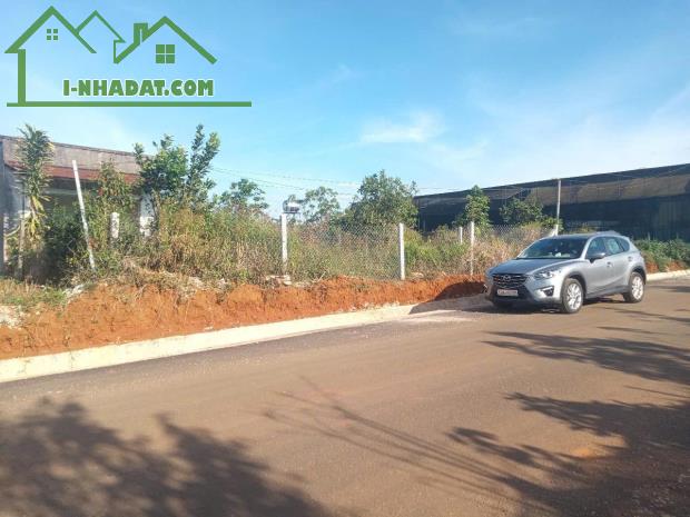 LÔ ĐẤT VỊ TRÍ ĐẸP -ĐẦU TƯ SINH LỜI - Cần Bán Nhanh Lô Đất Xã Đambri, TP Bảo Lộc, Lâm Đồng - 3