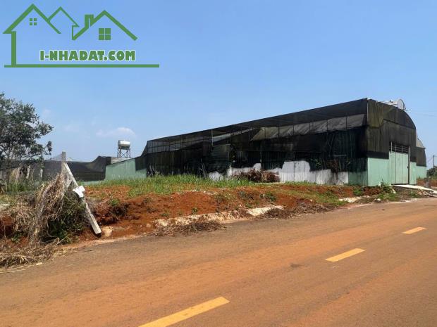 LÔ ĐẤT VỊ TRÍ ĐẸP -ĐẦU TƯ SINH LỜI - Cần Bán Nhanh Lô Đất Xã Đambri, TP Bảo Lộc, Lâm Đồng - 4