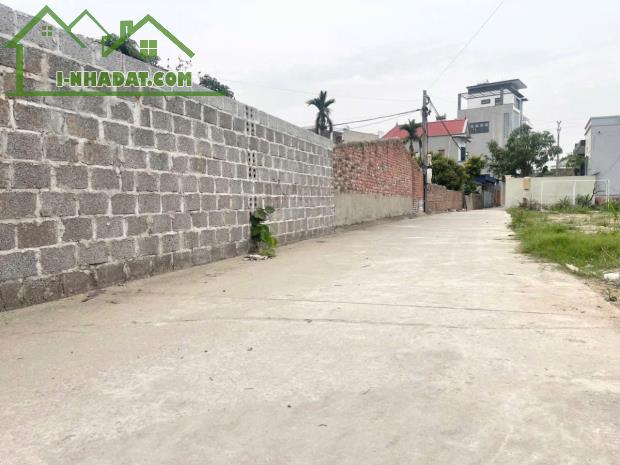Bán đất Minh Tân - Kiến Thụy - Hải Phòng - 2
