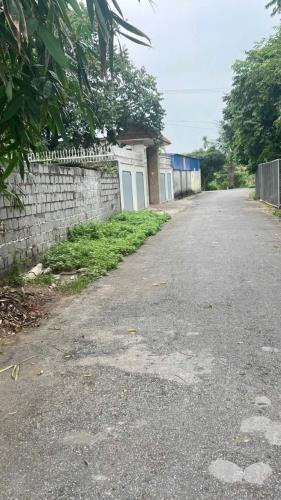 Bán đất Minh Tân - Kiến Thụy - Hải Phòng