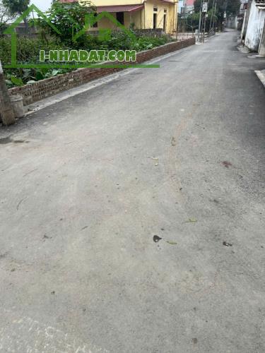 💥Nóng Nóng Bỏng Cọc dài trên 30 ngày – Miếng đất Du Nội Mai Lâm diện tích hơn 63m2 giá Ch - 3