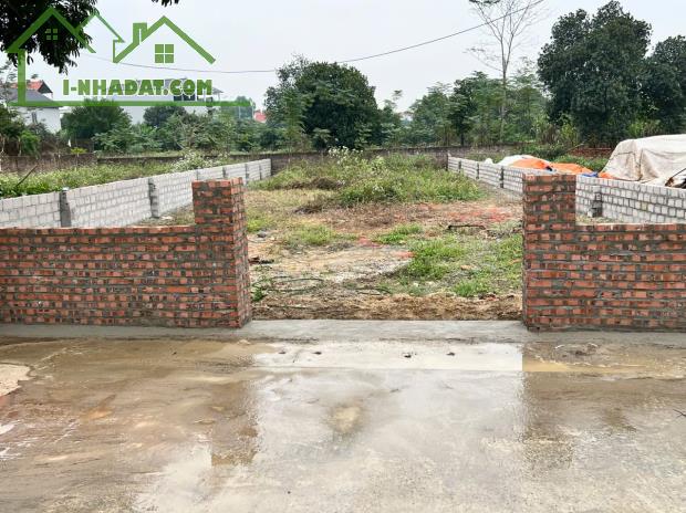 BÁN 350m ĐẤT XÃ PHÚ CÁT GIÁ RẺ NHẤT KHU VỰC SỔ ĐỎ SANG TÊN NGAY - 1