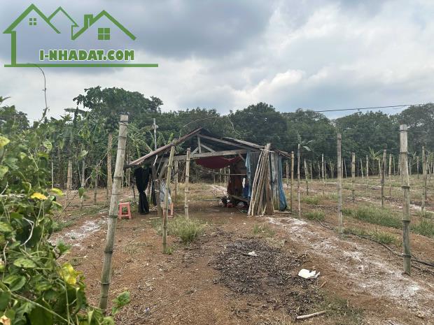 CHÍNH CHỦ CẦN BÁN GẤP ĐẤT VIEW HỒ TRỊ AN – CỰC PHẨM NGHỈ DƯỠNG - ĐẦU TƯ GIÁ 1 TỶ/ 1000M2 - 1