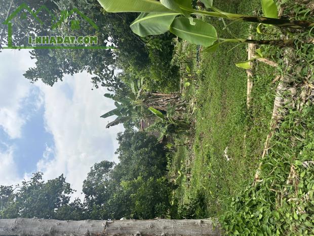 CHÍNH CHỦ CẦN BÁN GẤP ĐẤT VIEW HỒ TRỊ AN – CỰC PHẨM NGHỈ DƯỠNG - ĐẦU TƯ GIÁ 1 TỶ/ 1000M2 - 2