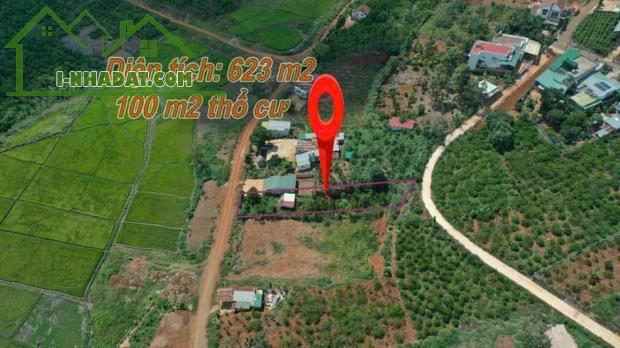 Lô đất Lê Văn Tám - TT Di Linh 623m2 Giá đầu tư 3,5 tỷ
